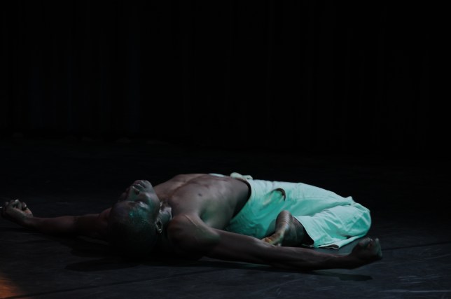 photo by D.A.G. Claudia