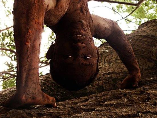 1780670_590088337727267_603767666_n (1)